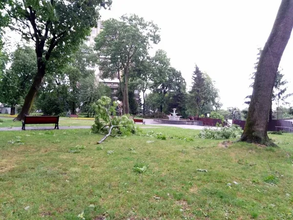 Як Луцьком пронеслася злива (фото, відео)