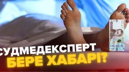 «Навмисно затягує розтин тіл Героїв»: судмедексперта з Любомля звинувачують у хабарництві (відео)