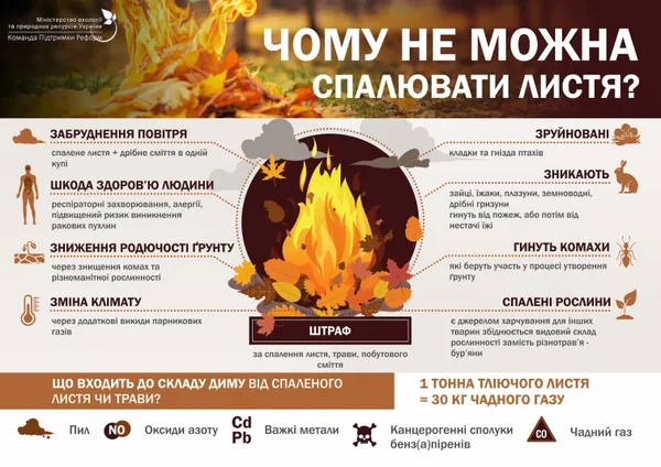 Що робити з опалим листям восени: радить еколог
