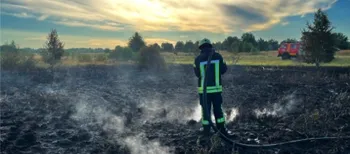 На Волині горять торфовища: вогонь охопив майже гектар території (фото)