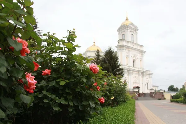 Собор, вулиці, зоопарк: показали, як квітне Луцьк (фото)