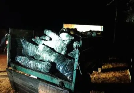 Біля кордону з Білоруссю виявили вантажівку з телячими тушками (фото)