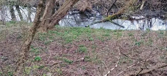 Лучанин знайшов людський череп на березі Омелянівки (фото)