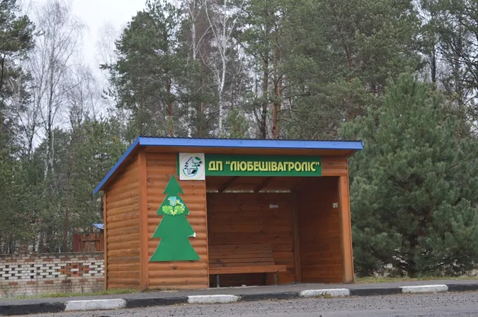 Волинські лісівники встановили зупинки на міжнародній трасі (фото)