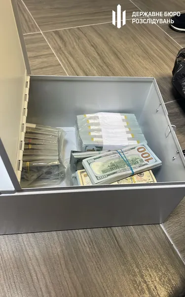 У депутатки Хмельницької міськради знайшли понад 1,5 млн незадекларованих доларів (фото)