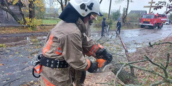 На Камінь-Каширщині дерево впало на дорогу (фото)