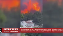 Масові пожежі у Туреччині: лучанка опинилася в епіцентрі подій (відео)
