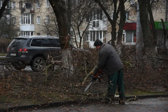 Навіщо на Волі в Луцьку обрізають дерева (фото)