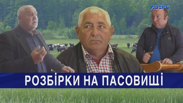 Корова, молодиця і зламана щелепа: у волинському селі побилися чоловіки (відео)