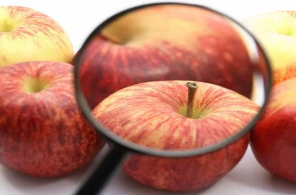 У квітні запрацює нова система контролю якості харчових продуктів