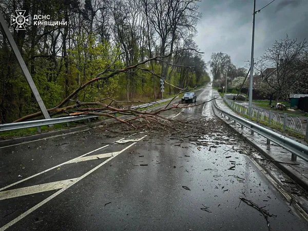 Буревій вбив двох людей і знеструмив 1121 населений пункт в Україні (фото)