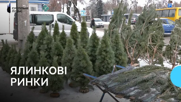 У Луцьку запрацювали ялинкові ринки: що продають та за які гроші (відео)