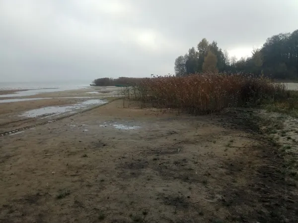 Експерти обстежують Світязь: сказали, де найбільше обмілів (фото)