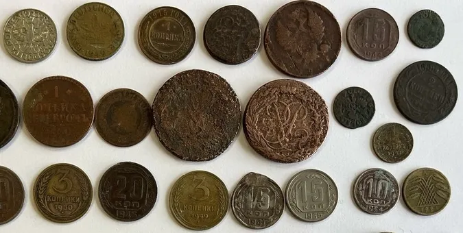 Через «Ягодин» хотіли провезти 44 старовинні монети