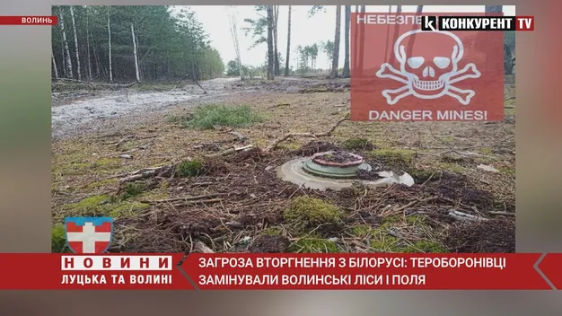 На Волині на прикордонні з Білоруссю замінували ліси й дороги (відео)