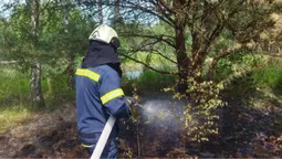На Волині ліквідували займання у лісовому масиві (фото)
