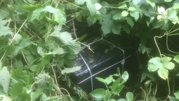 На Волині біля кордону знайшли 12 ящиків сигарет (фото)