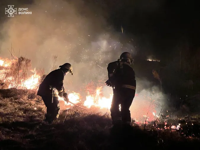 На Волині через людську недбалість вигоріли понад 5 гектарів поля (фото)