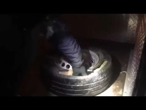 На Волині за контрабанду бурштину чоловіка оштрафували на мільйон гривень (фото, відео)