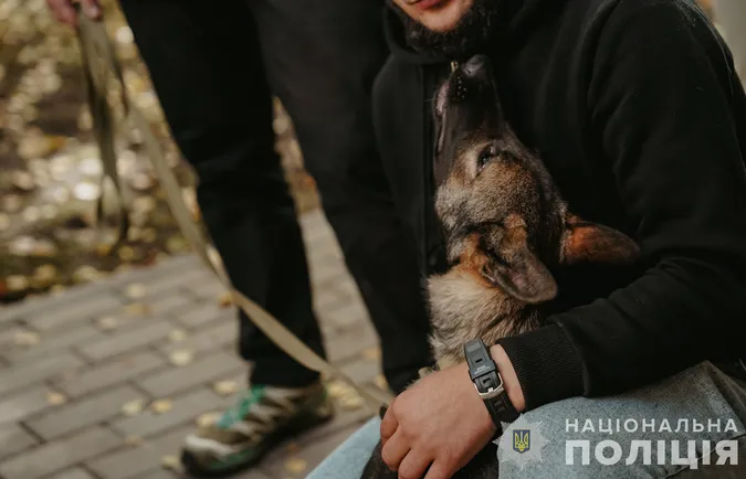 На Волині собаки «лікували» поранених воїнів (фото)