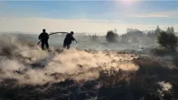 Шість пожеж за добу: на Волині другий день гасять торфовище (фото)