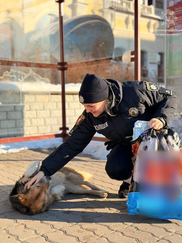 Смаколики замість штрафів: вулицями Луцька пройшов зворушливий рейд