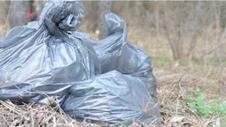 «Лісова» братія проти сміттєвого монстра, або А один в полі – воїн?