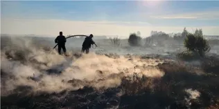 Шість пожеж за добу: на Волині другий день гасять торфовище (фото)