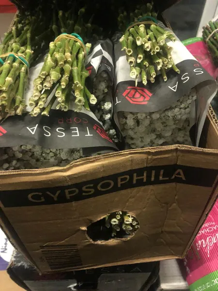 Підприємець намагався провезти через «Ягодин» понад шість тонн свіжих квітів (фото)