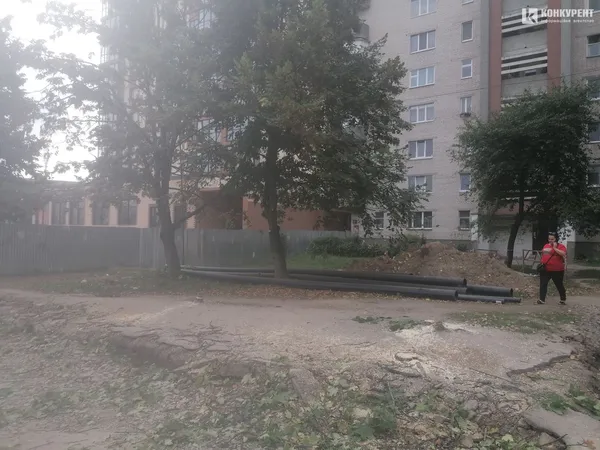 Законно чи ні: у Луцьку на проспекті Соборності зрізали дерева (фото, відео)