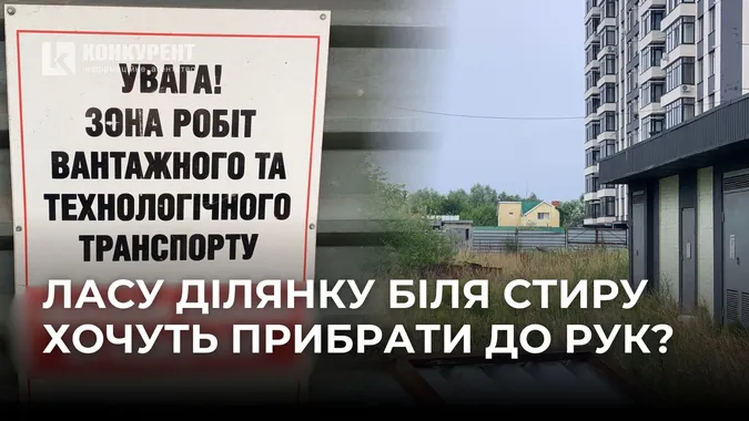 Ласу ділянку на березі Стиру в Луцьку можуть віддати під будівництво висоток (фото)