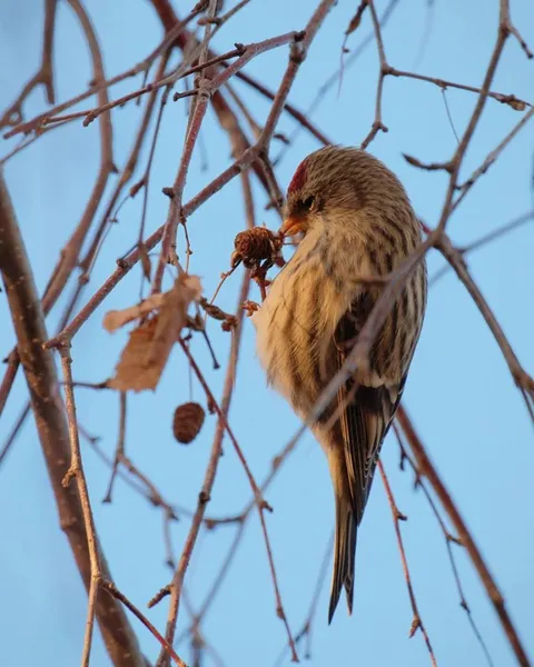 Фотографи показали засніжену природу Луцька