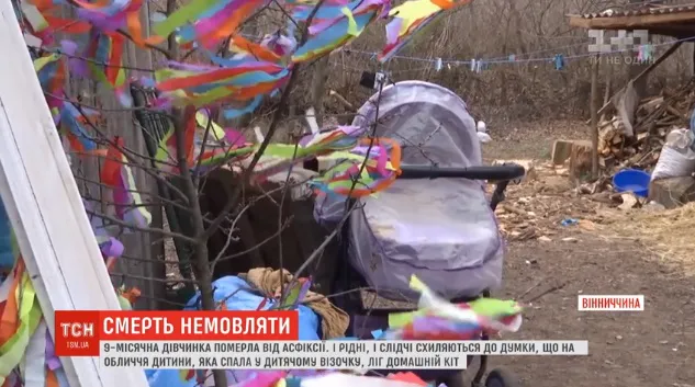 На Вінничині домашній кіт задушив немовля (відео)