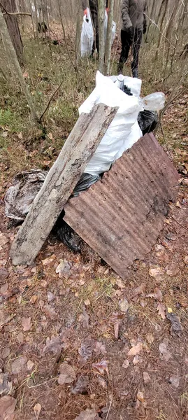 З лісу на Волині вивезли 8 величезних причепів сміття (фото)