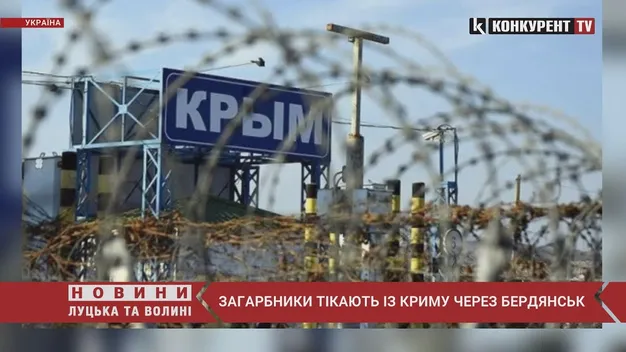 Загарбники тікають із Криму до Бердянська, а потім до росії (відео)