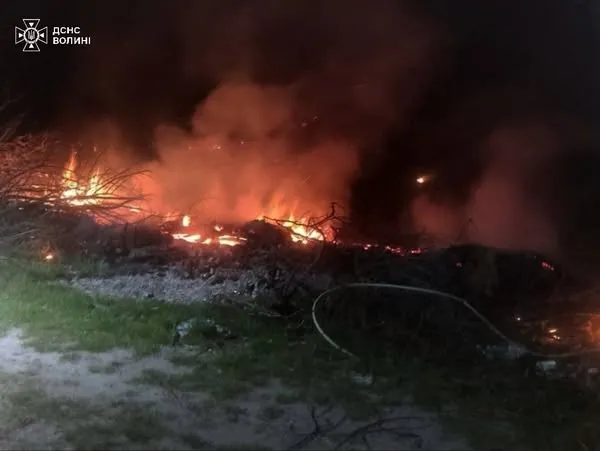 Суха трава, чагарники та очерет: на Волині вигоріли понад 2,5 га угідь (фото)