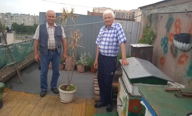 Лучанин на даху дев'ятиповерхівки зробив пасіку (фото)