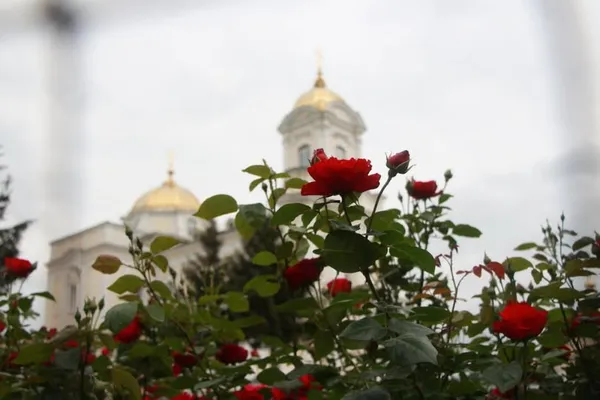 Митрополит Луцький і Волинський Михаїл оголошує фотоконкурс