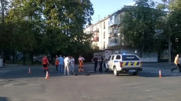 На Грушевського в Луцьку «просів» асфальт (фотофакт)