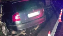 На Волині «шкода» в'їхала в автовоз – водій загинув на місці (відео)