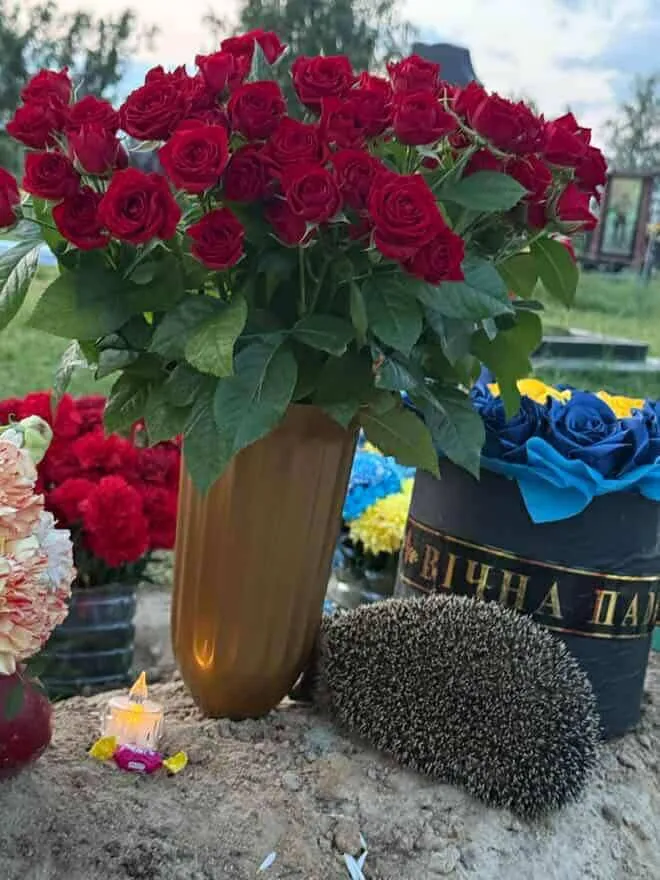 На могилу до загиблого військового, який любив їжаків, прийшов колючий друг (фото)