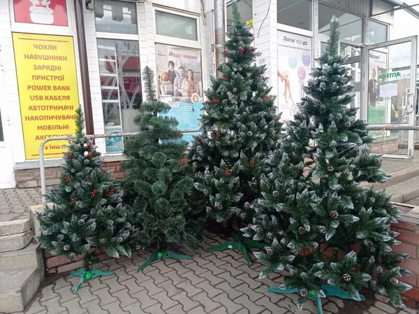 У Краматорську найбільше продають ялинок саме з Волині (фото)