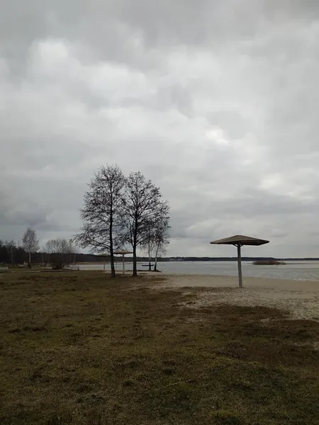 Сумний і повноводний: показали, як Світязь прокидається після зими (фото)