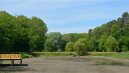 Посуха: ставки “волинської Швейцарії” помітно обміліли (ФОТО, ВІДЕО)