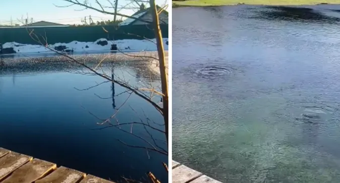 Вода є, але не бурлить: що відбувається на унікальних Оконських джерелах на Волині (фото, відео)