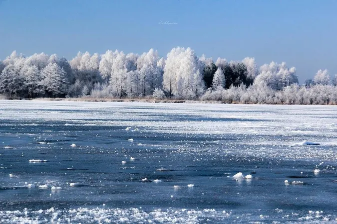 Лід, ліс і тиша: як відпочити у Шацькому нацпарку взимку (фото)