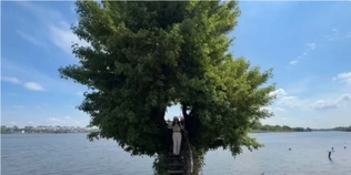 Дерево-портал над водою у давні часи: за 90 км від Луцька мандрівники знайшли магічну зону (фото, відео)
