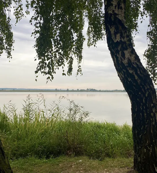 Атмосферні фото: показали осінні краєвиди Хрінників