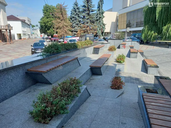 Навколо нового фонтану в центрі Луцька висохла зелень (фото)