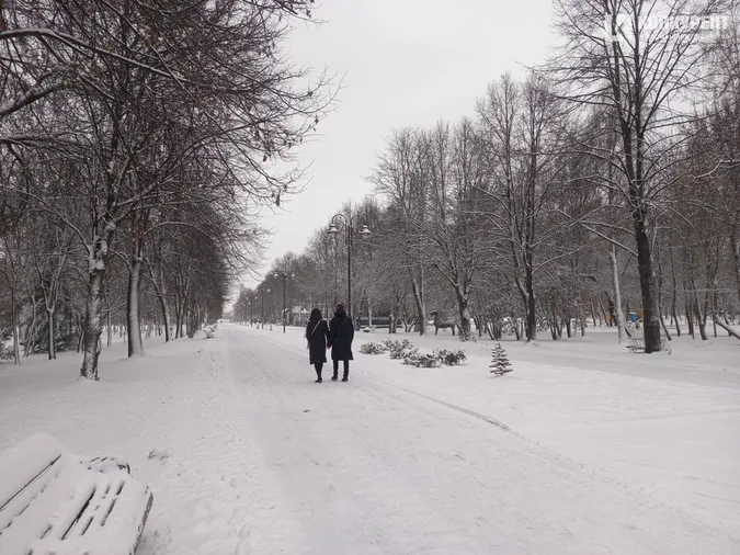Сніжно і безлюдно: зима у Центральному парку Луцька (фото)